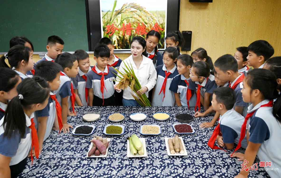 【世界粮食日】爱粮惜粮 从我做起