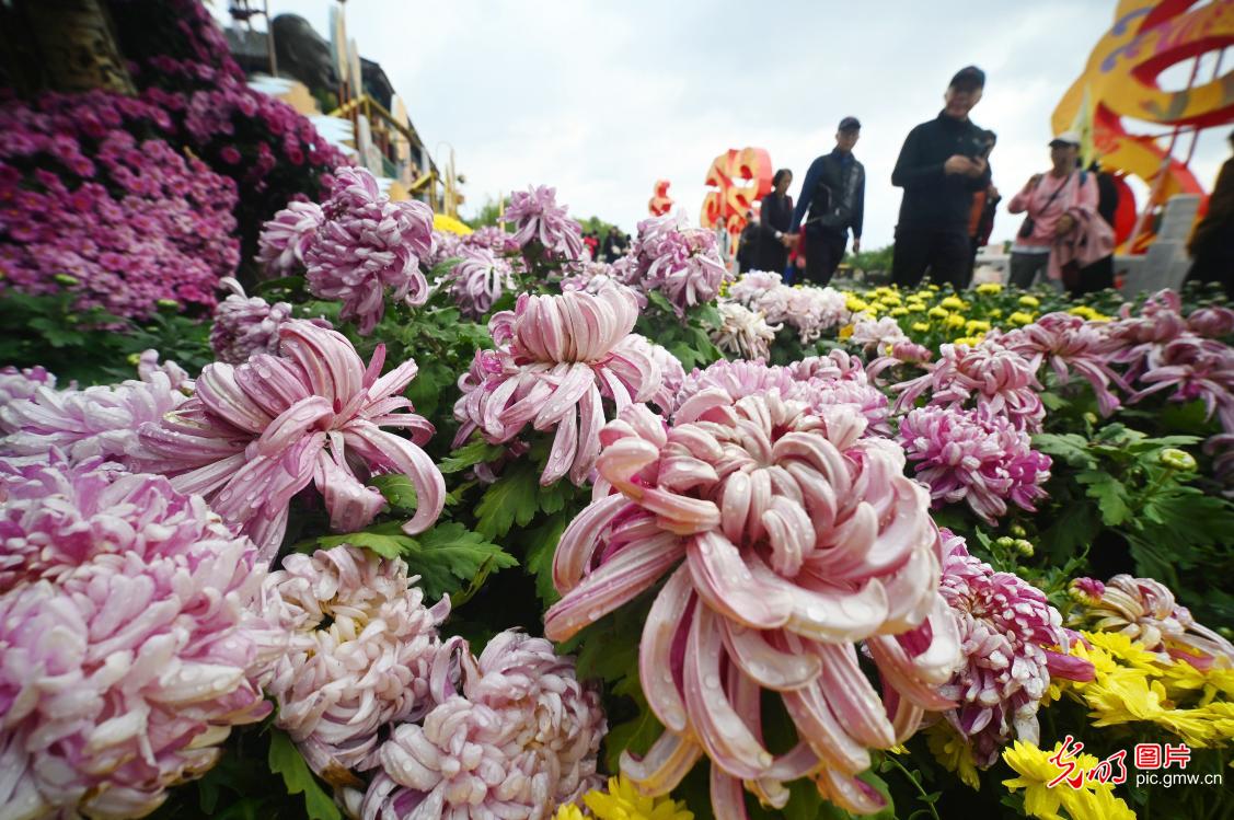 中国开封第42届菊花文化节开园迎宾