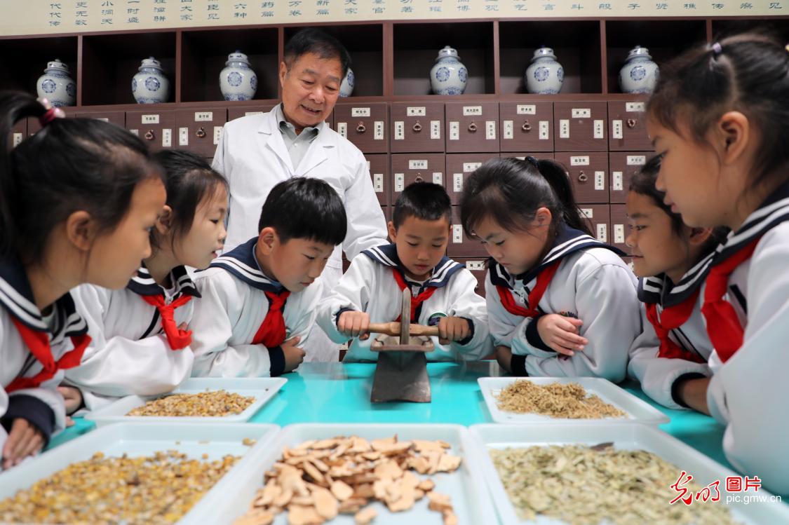 感受传统中医魅力 迎接“世界传统医药日”