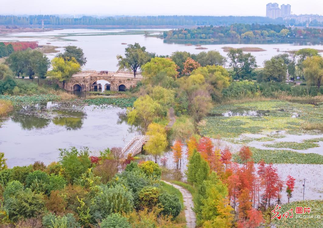 国家湿地公园秋景如画