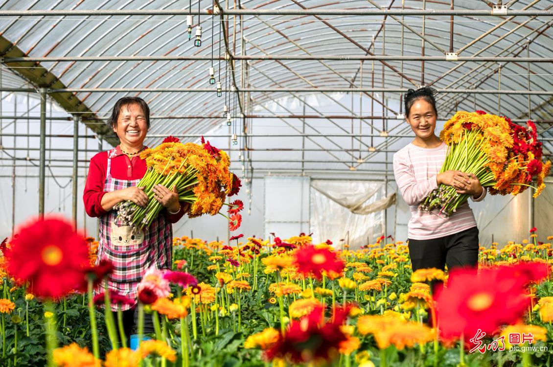 鲜花经济助增收