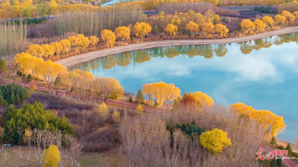 芦水湾初冬景美如画