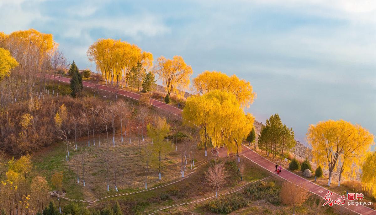 芦水湾初冬景美如画