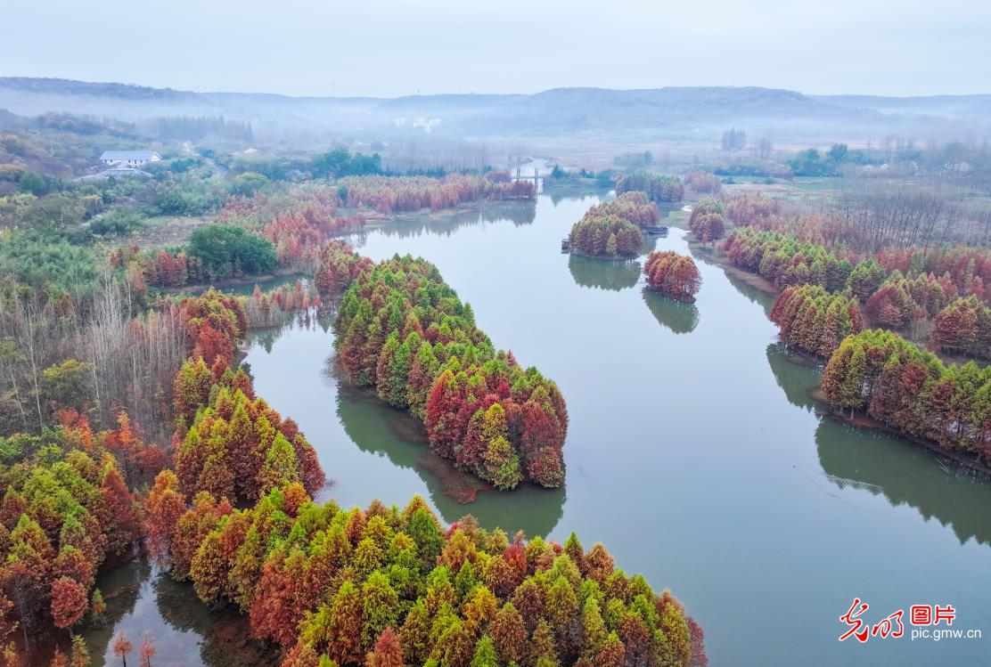 天泉湖冬景如画