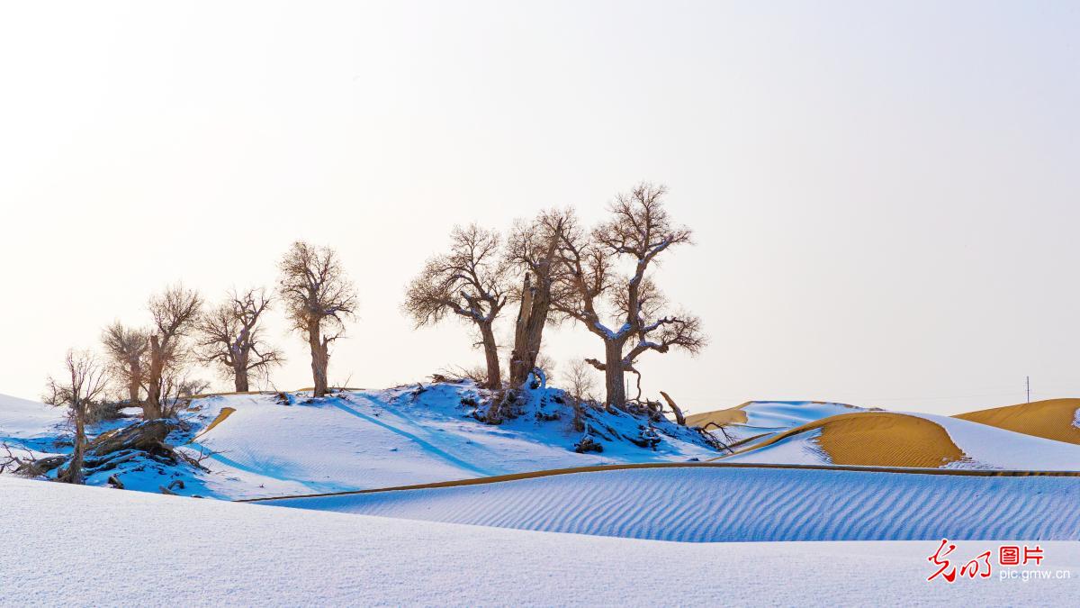 大漠雪景