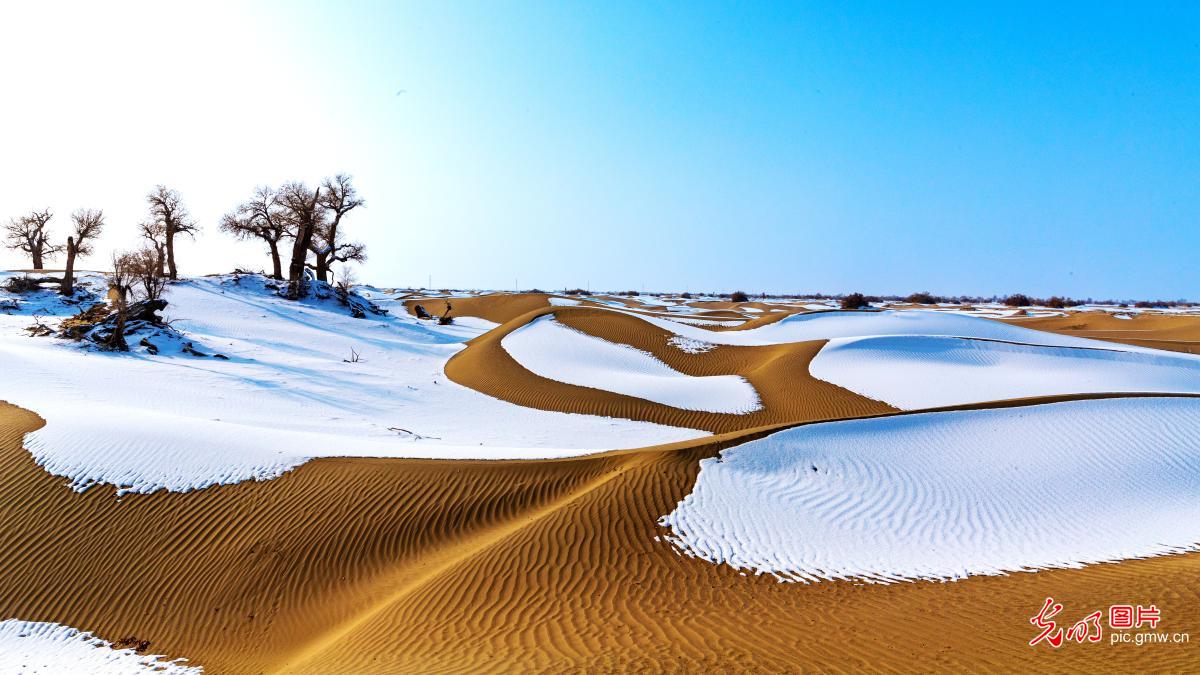 大漠雪景