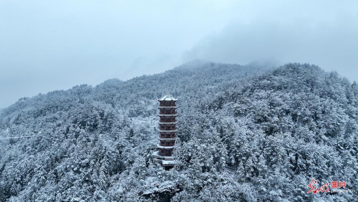 雪后森林裹银装