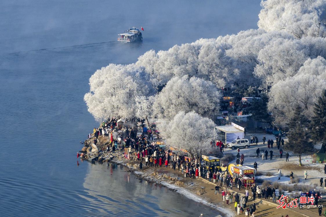 雾凇玉树琼花盛景引游客