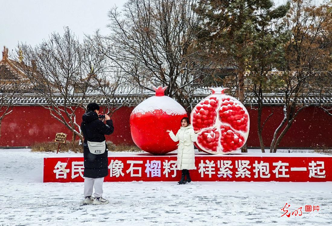 瑞雪迎春