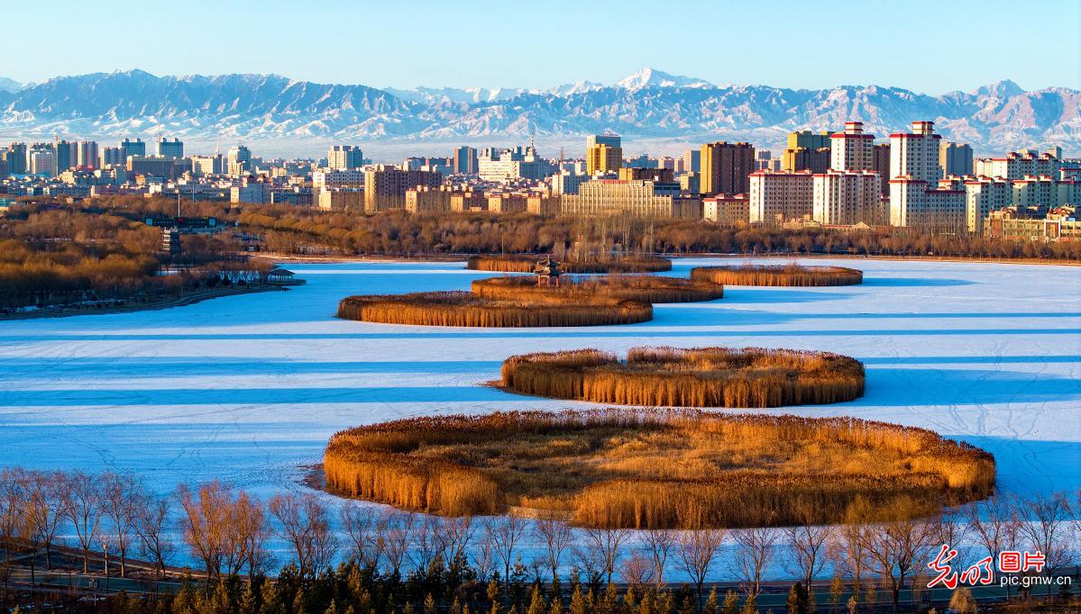 “湿地之城”雪景美