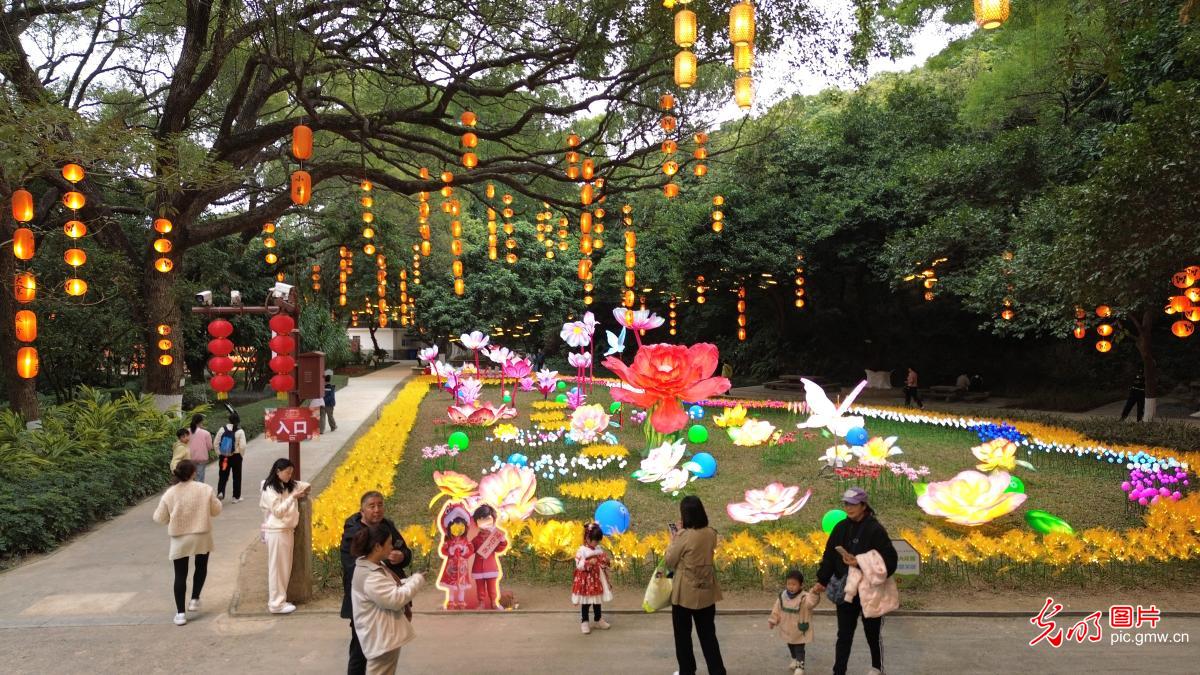 【新春走基层】迎元宵庆佳节 南北花灯同焕彩