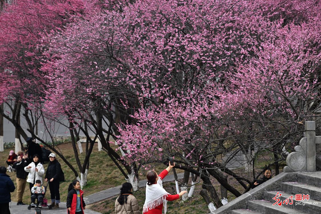 踏青赏花 乐享美好春光