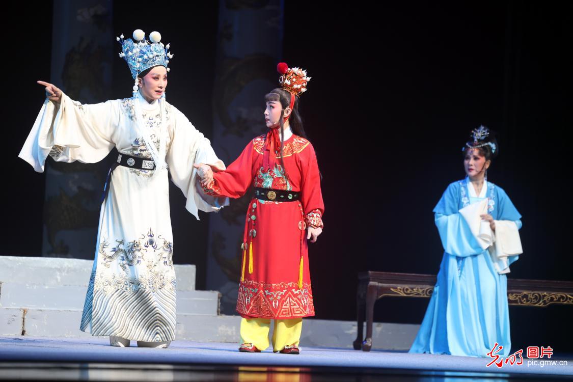 越剧《狸猫换太子》南通上演