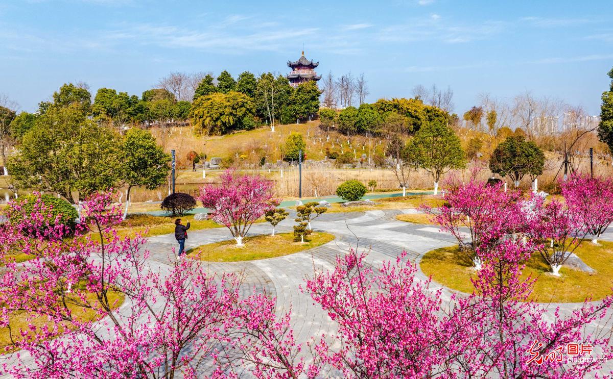 芙蓉湖春景如画