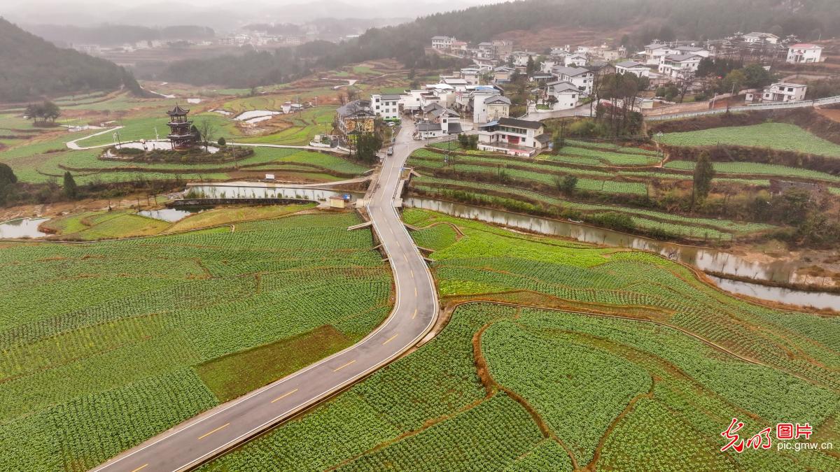 初春乡村