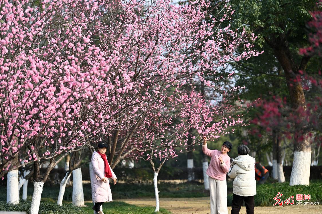 春暖花开 多地迎来赏花踏青热