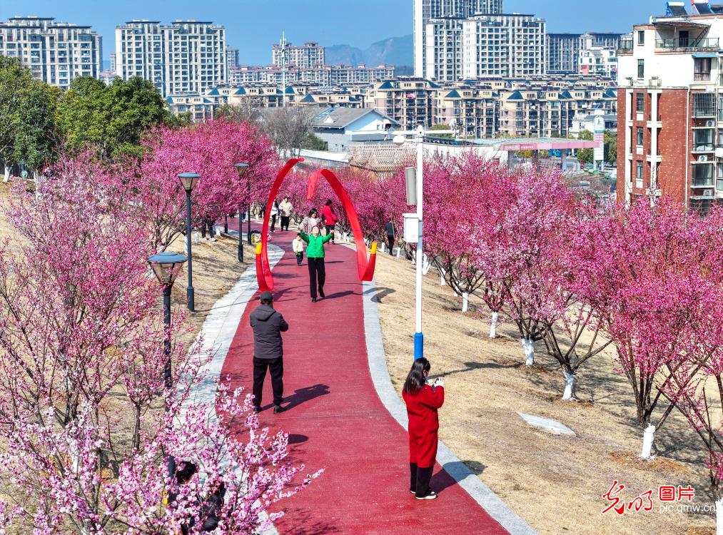 春暖花开 多地迎来赏花踏青热