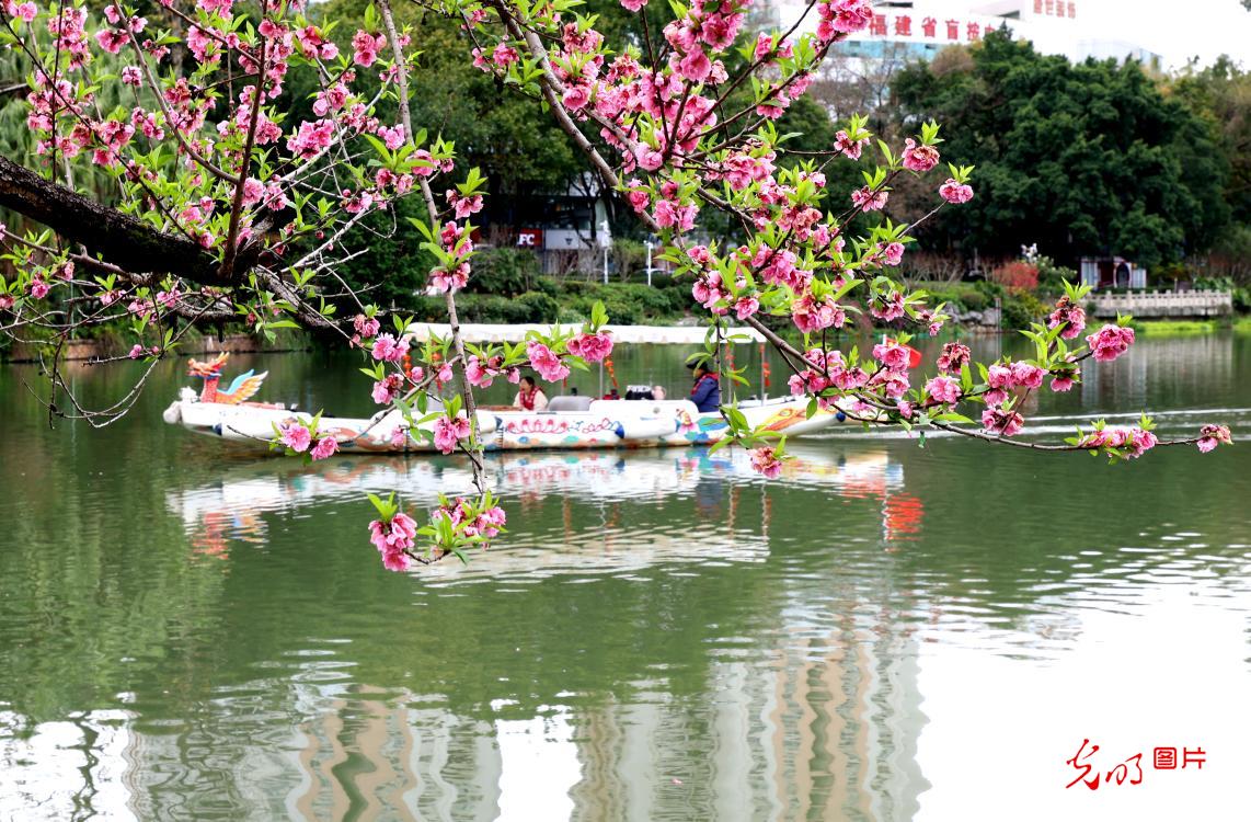 踏青赏花享春光