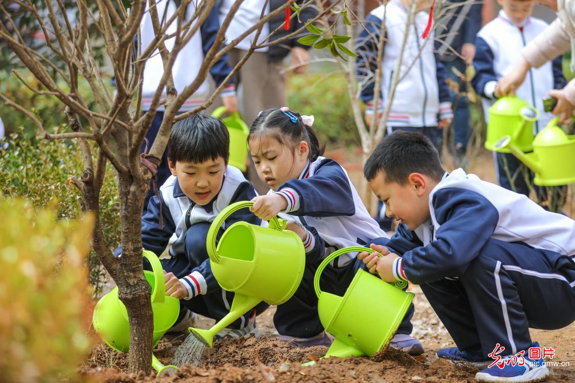 植树添绿 全民共筑生态梦