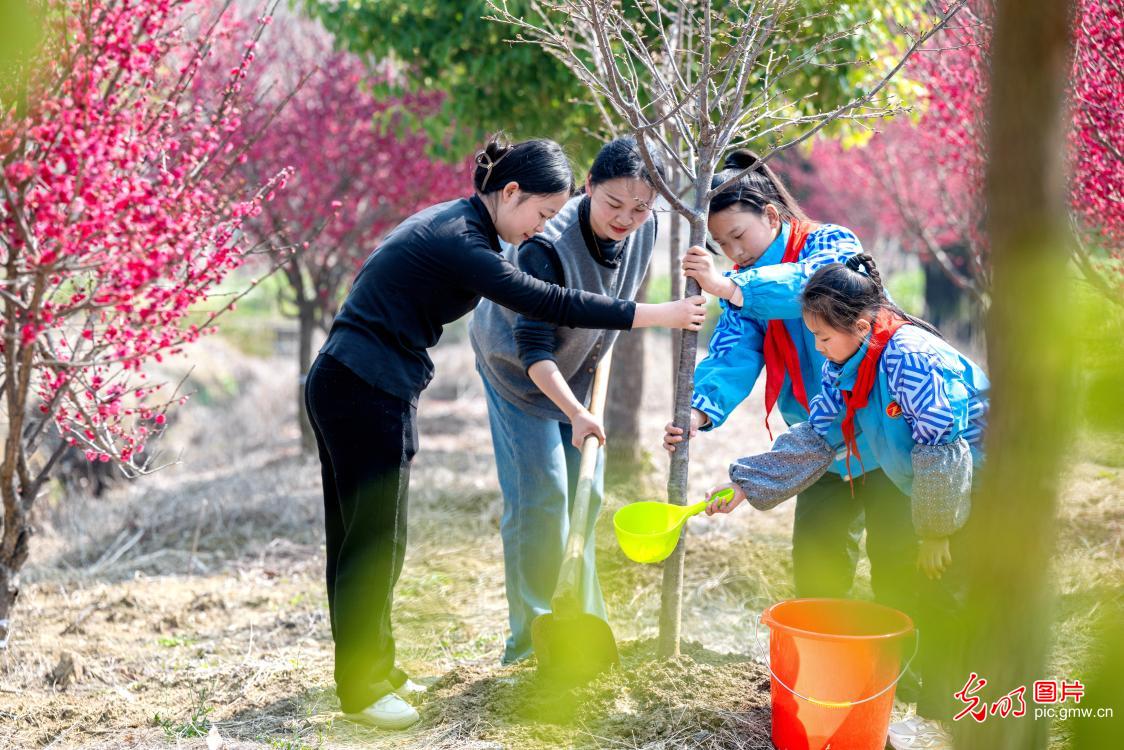 植樹添綠 全民共筑生態(tài)夢