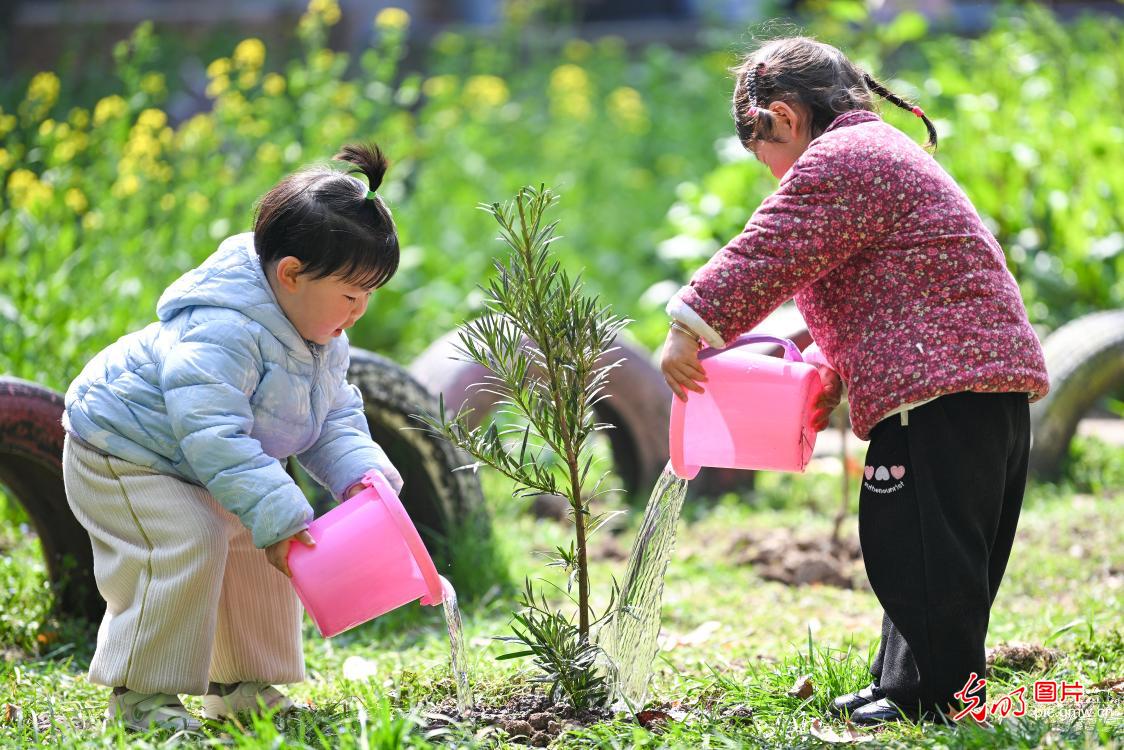 植樹添綠 全民共筑生態(tài)夢