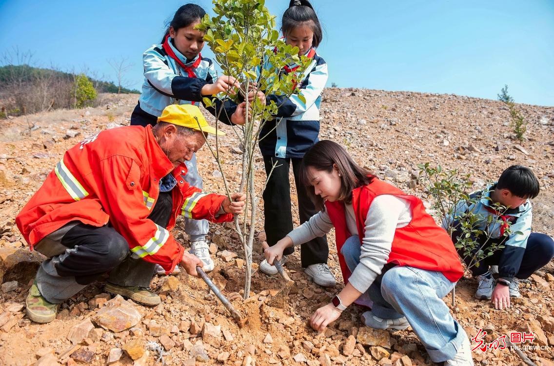 植树添绿 全民共筑生态梦