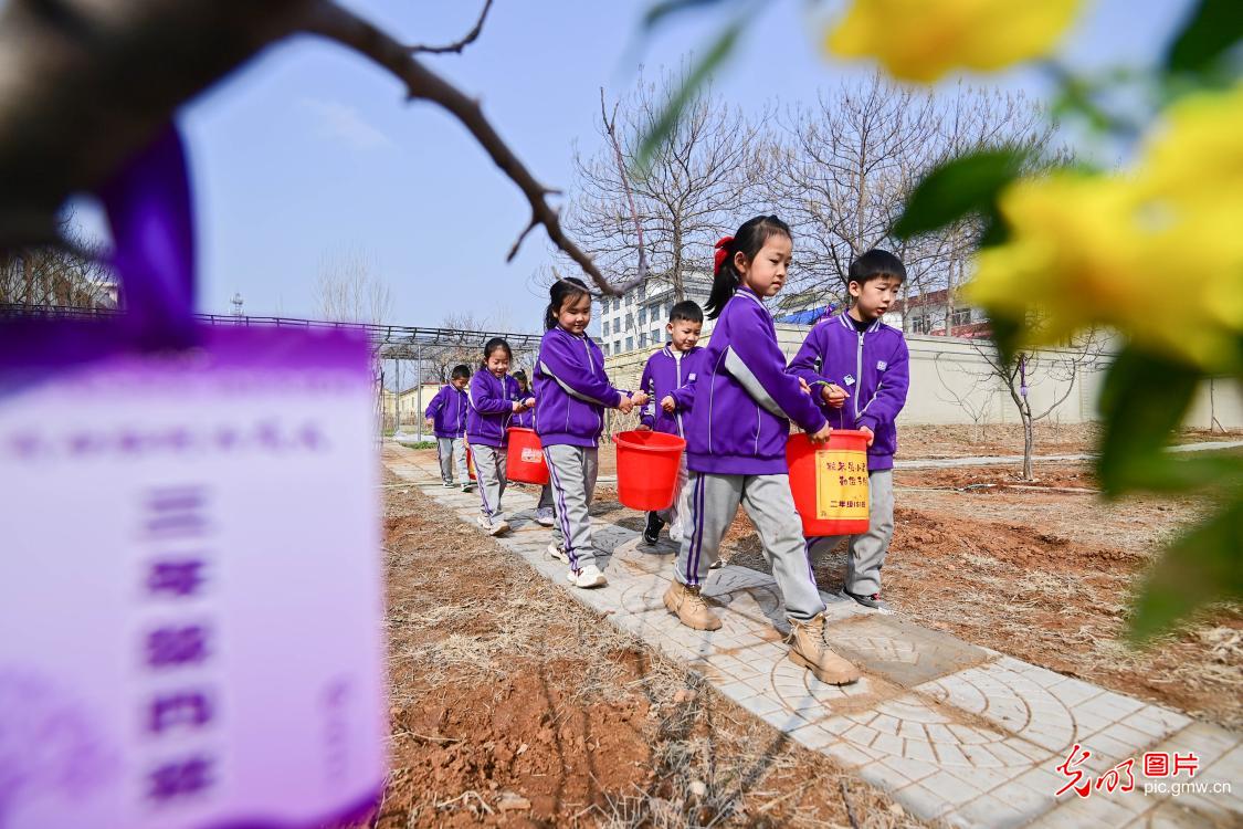 植树添绿 全民共筑生态梦