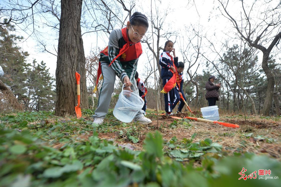 植樹添綠 全民共筑生態(tài)夢