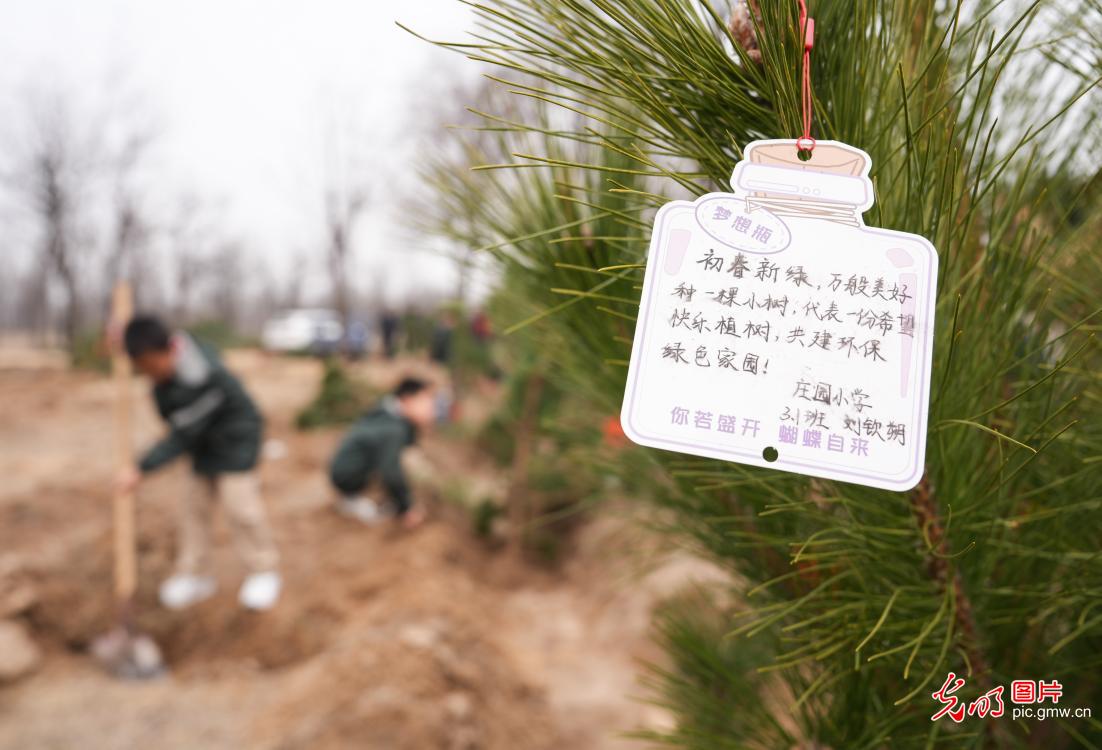 植樹添綠 全民共筑生態(tài)夢