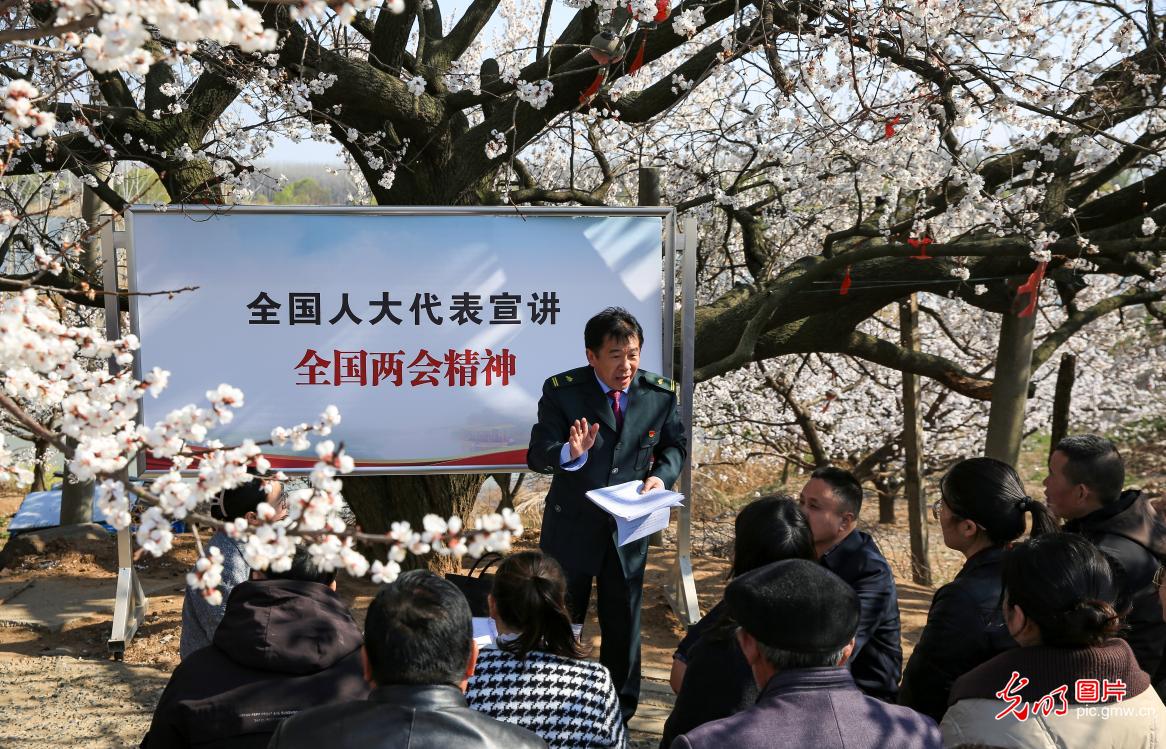 【图策｜春潮涌动启新程】两会精神落地生根：乡村振兴按下“加速键”