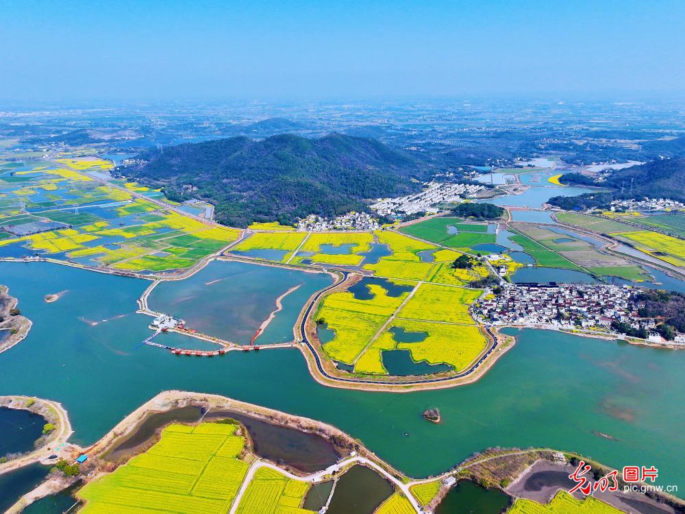 春日乡村风景宜人