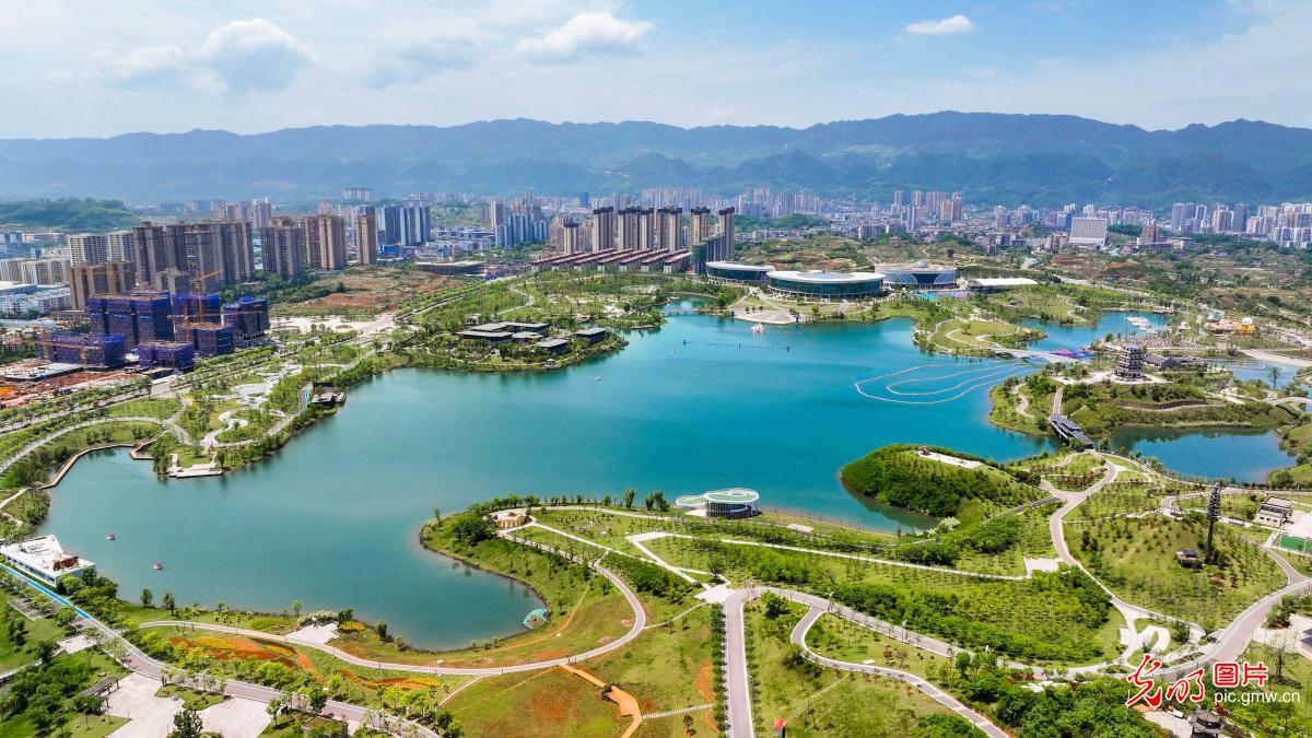 湿地公园美如画
