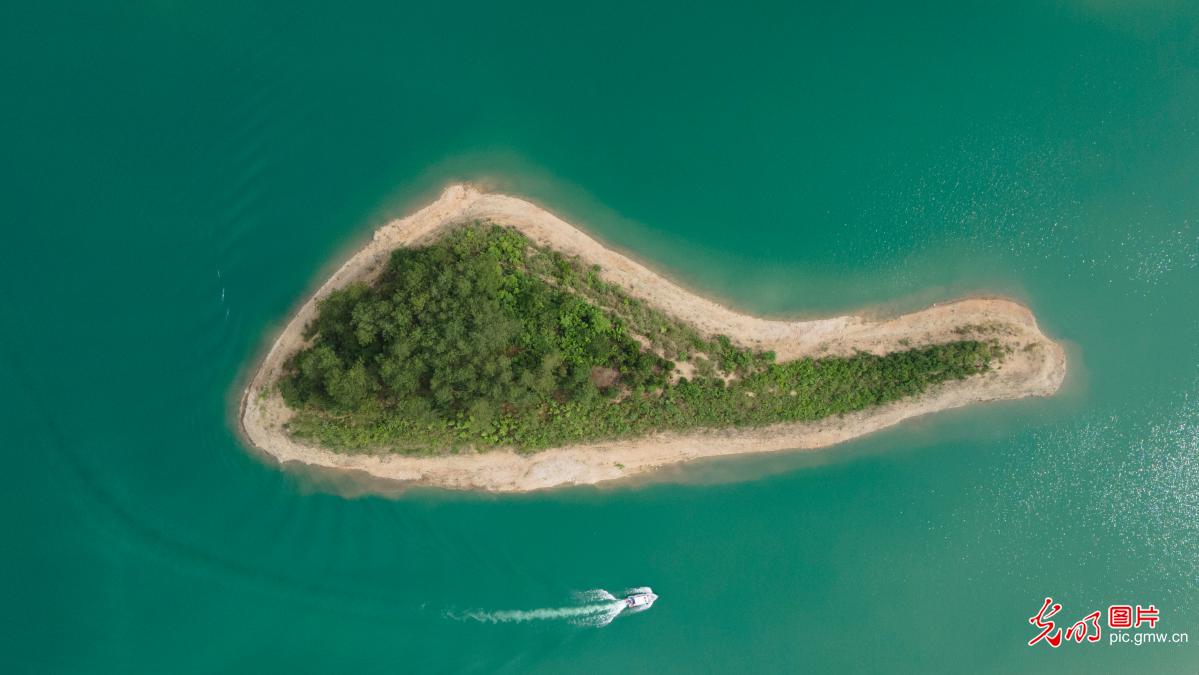 水库夏日盛景