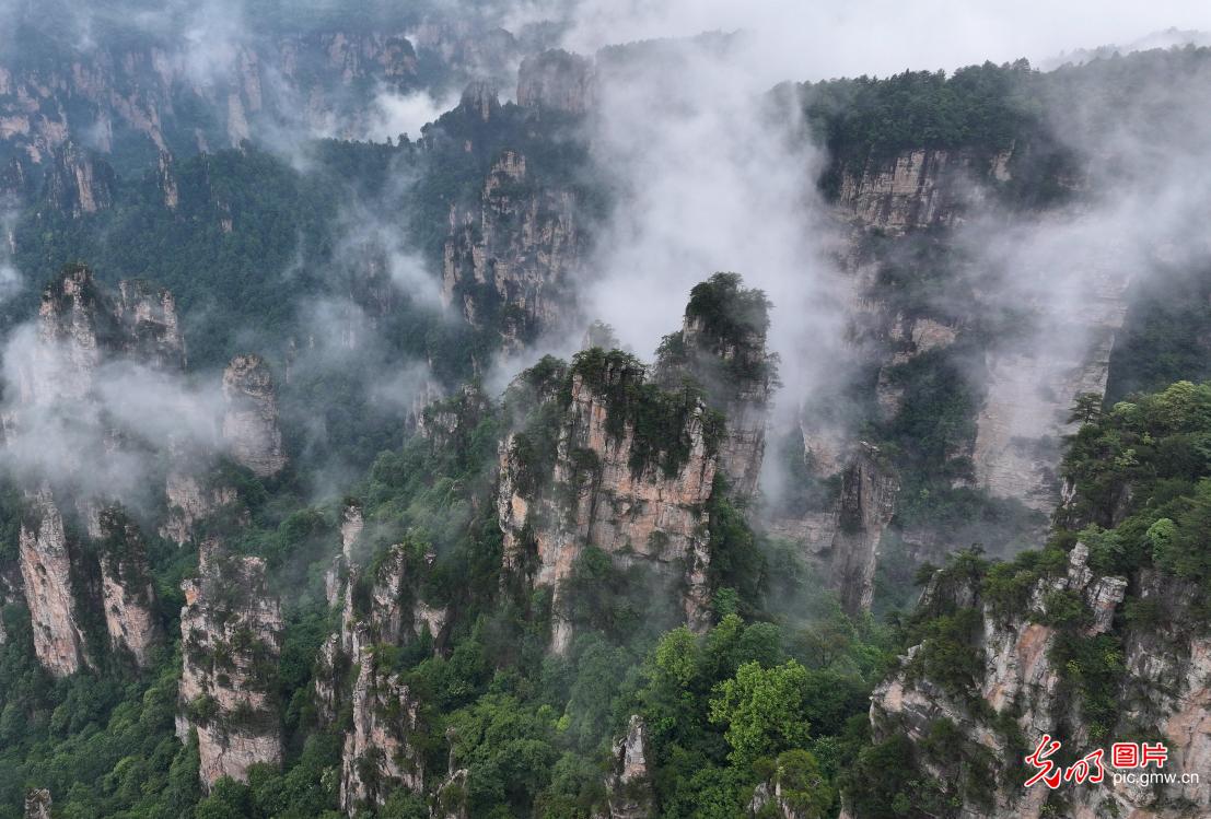 湖南张家界：峰起云间水墨画卷