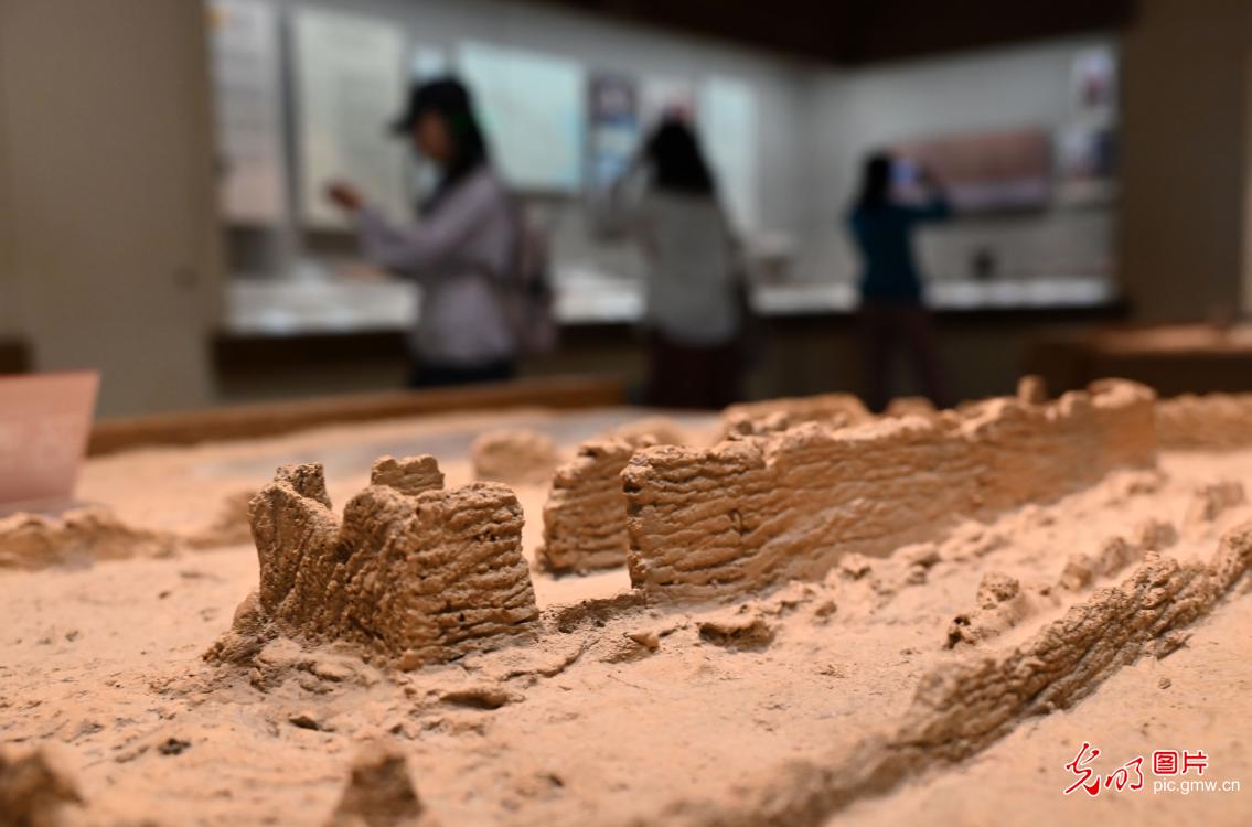 端午假期“文博热” 市民观展兴致浓