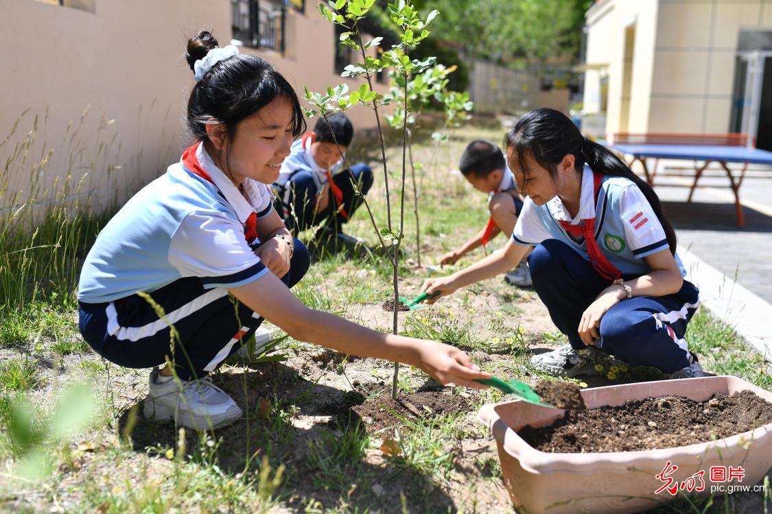 世界环境日丨多地学校“花式”活动倡环保
