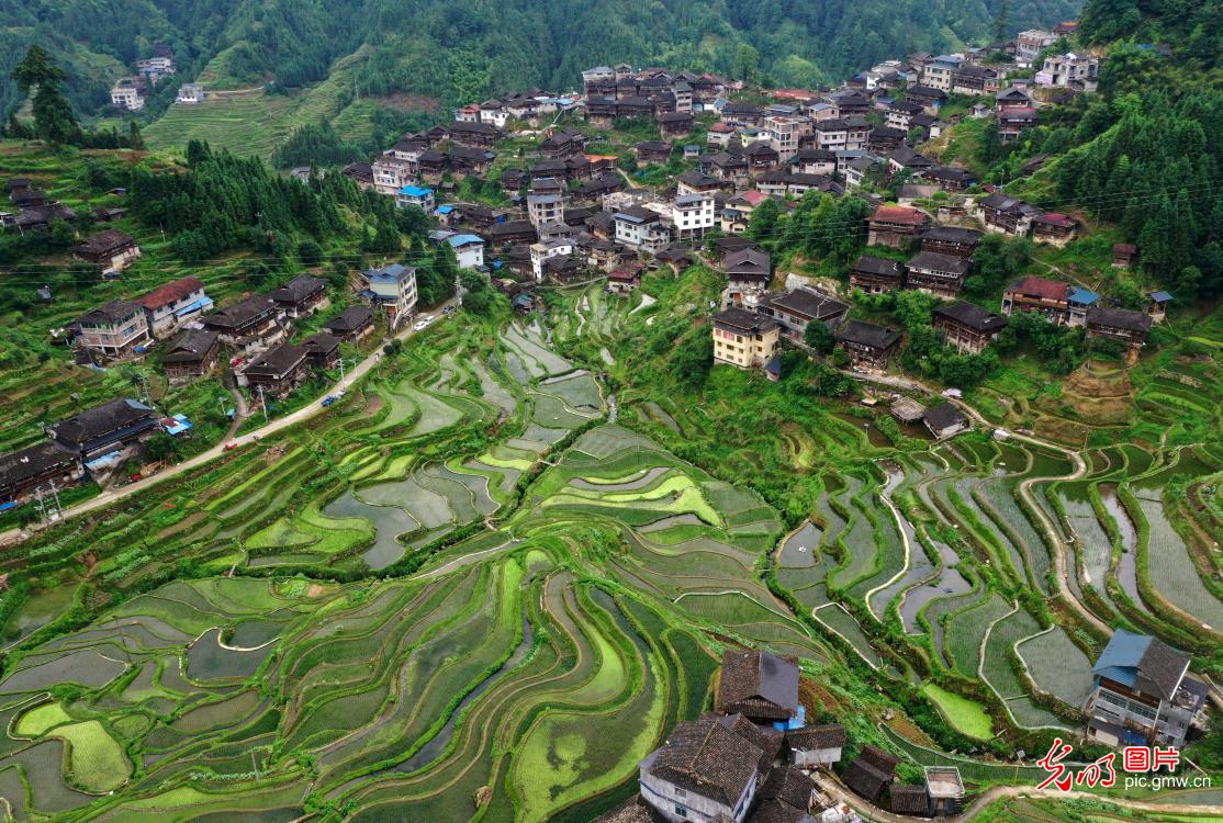 深山苗寨生态美