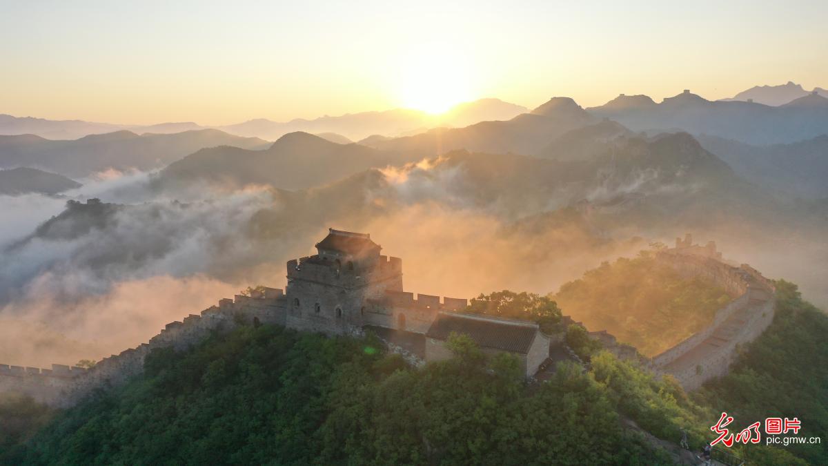 云涌漫金山