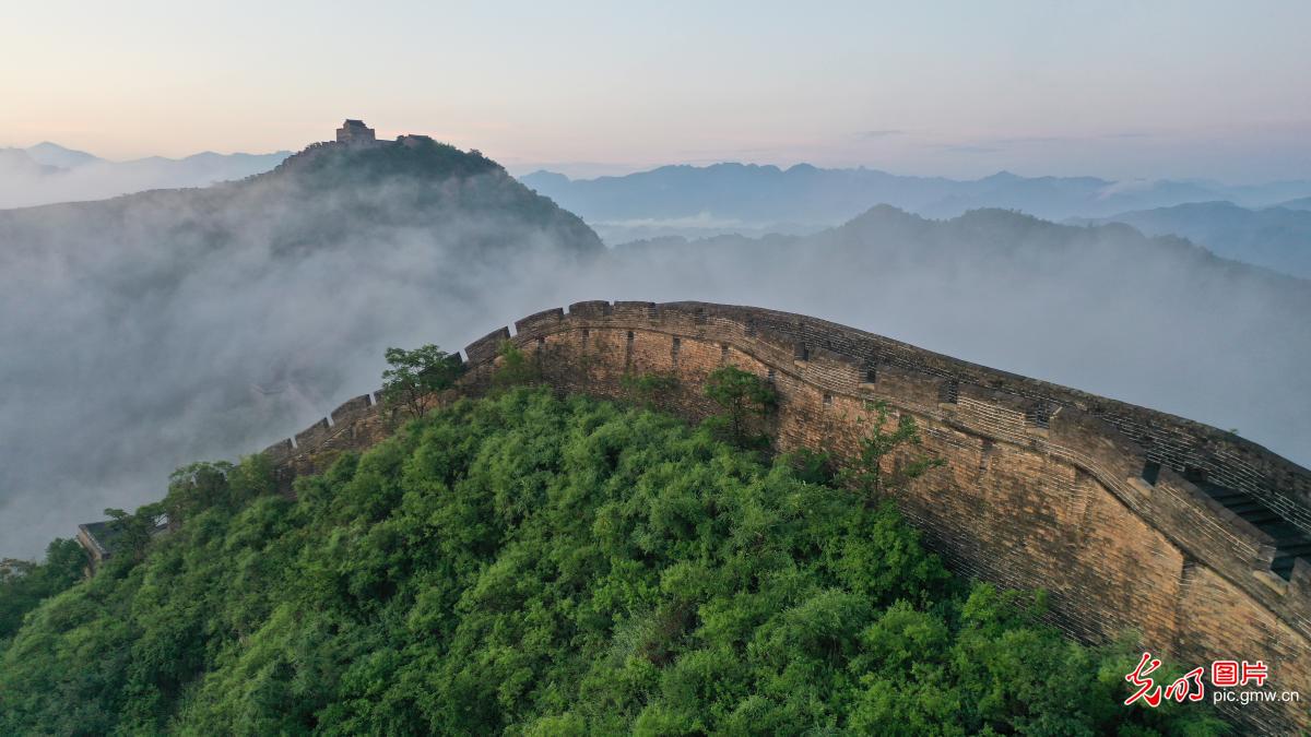 云涌漫金山