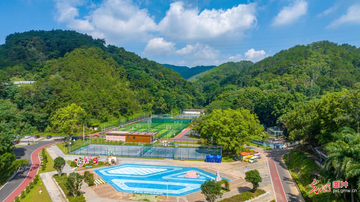 体育公园夏景如画