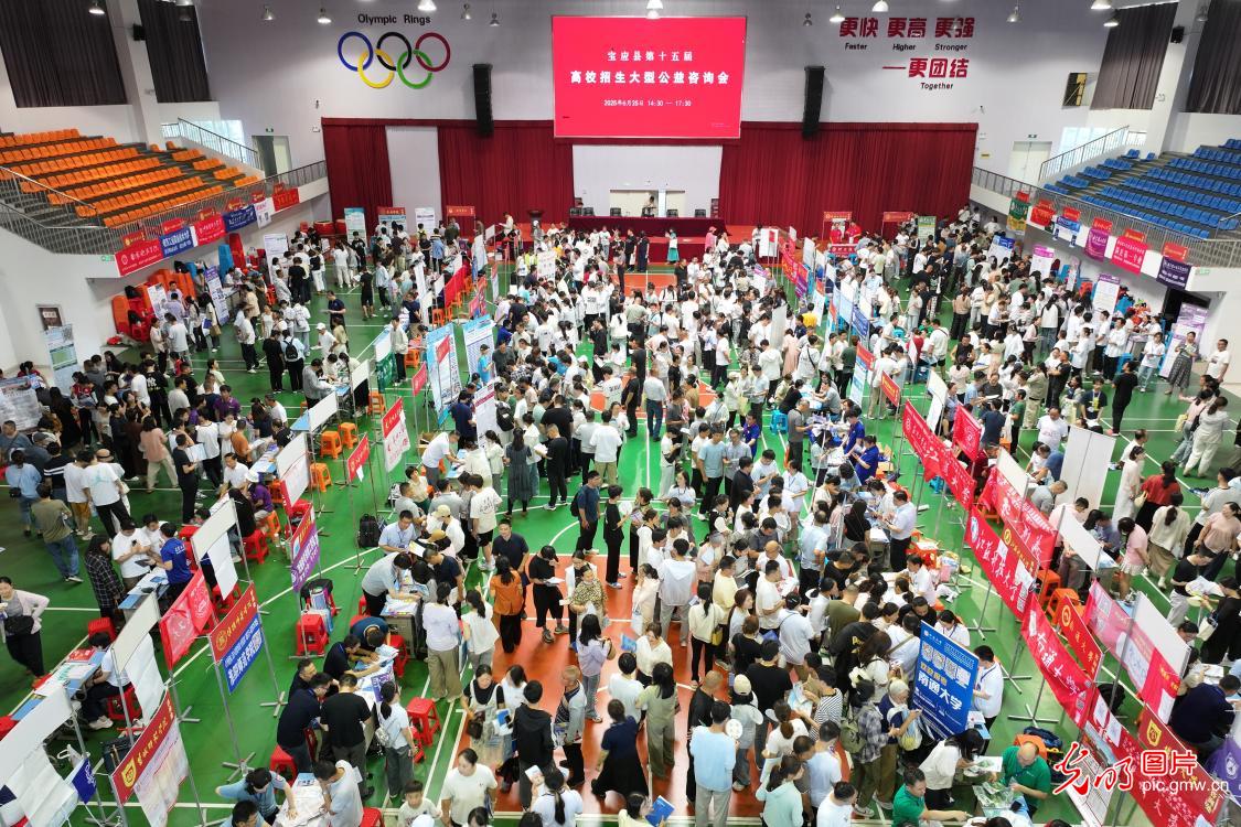 高校高招咨询密集展开 护航考生志愿路