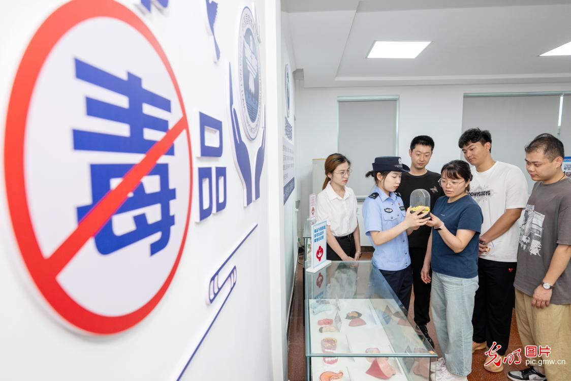 国际禁毒日丨全民携手筑防线 共守无毒新家园