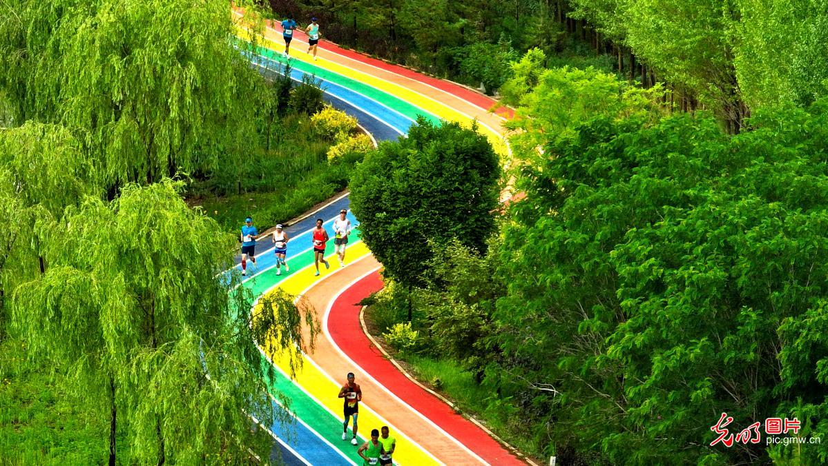 2025临泽马拉松赛开赛 五千名选手畅跑丝路古城