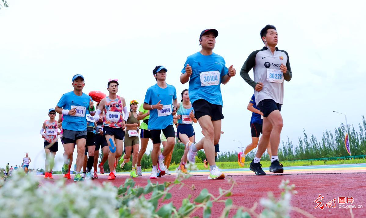 2025临泽马拉松赛开赛 五千名选手畅跑丝路古城