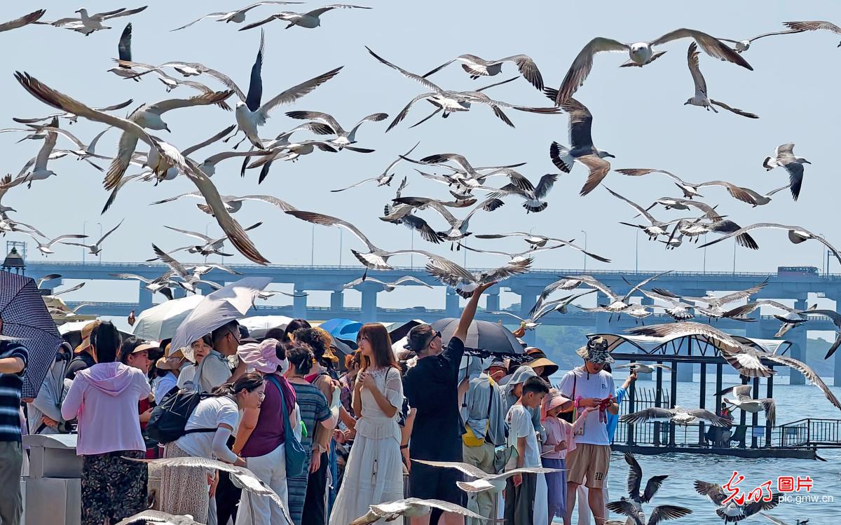 暑期旅游“热浪”来袭 全国多地迎来客流高峰