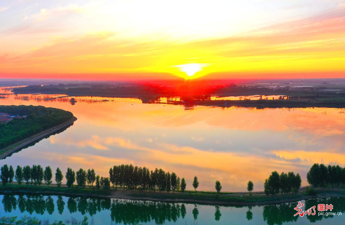 大沽河畔景如画