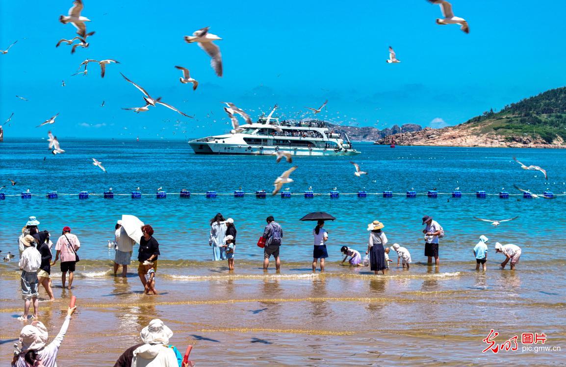 畅游海岛 避暑纳凉