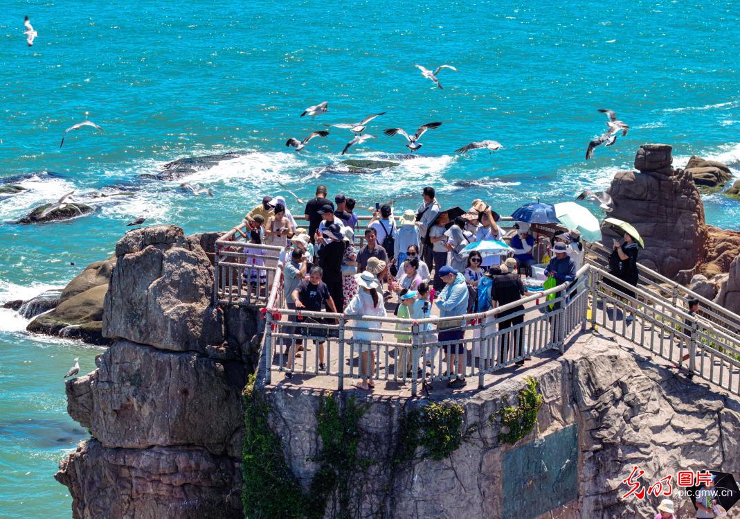 畅游海岛 避暑纳凉