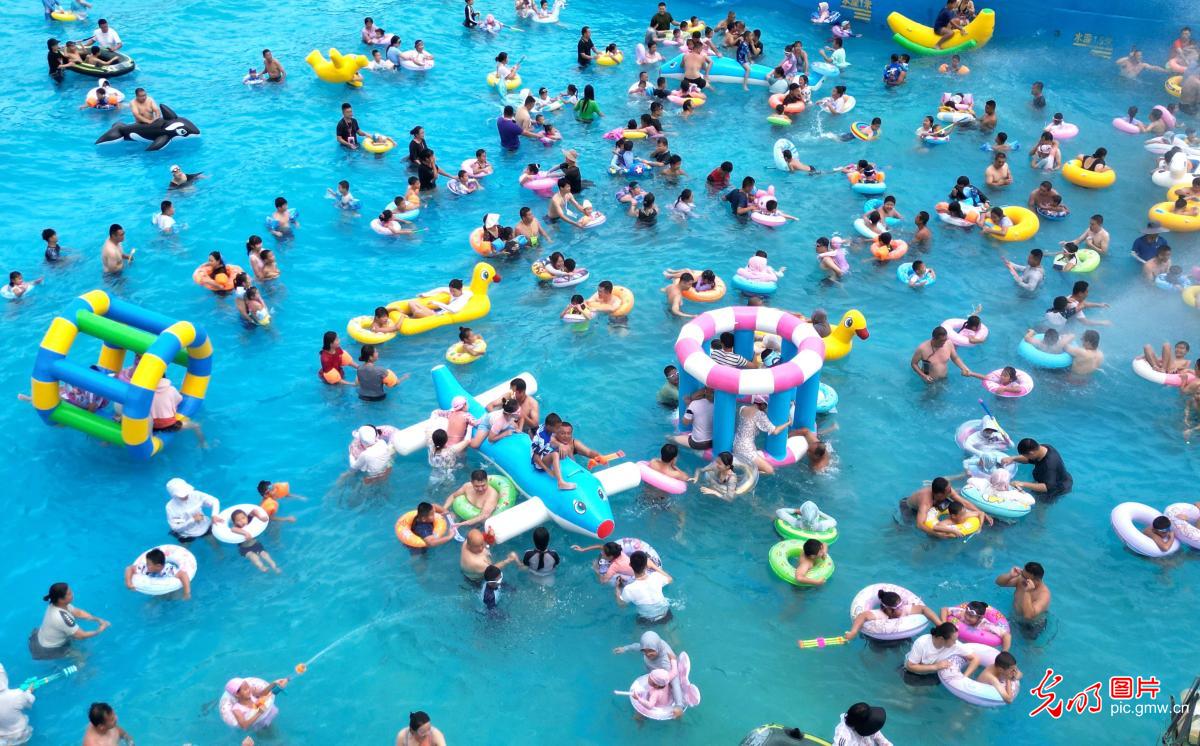 入伏首日 戏水避暑