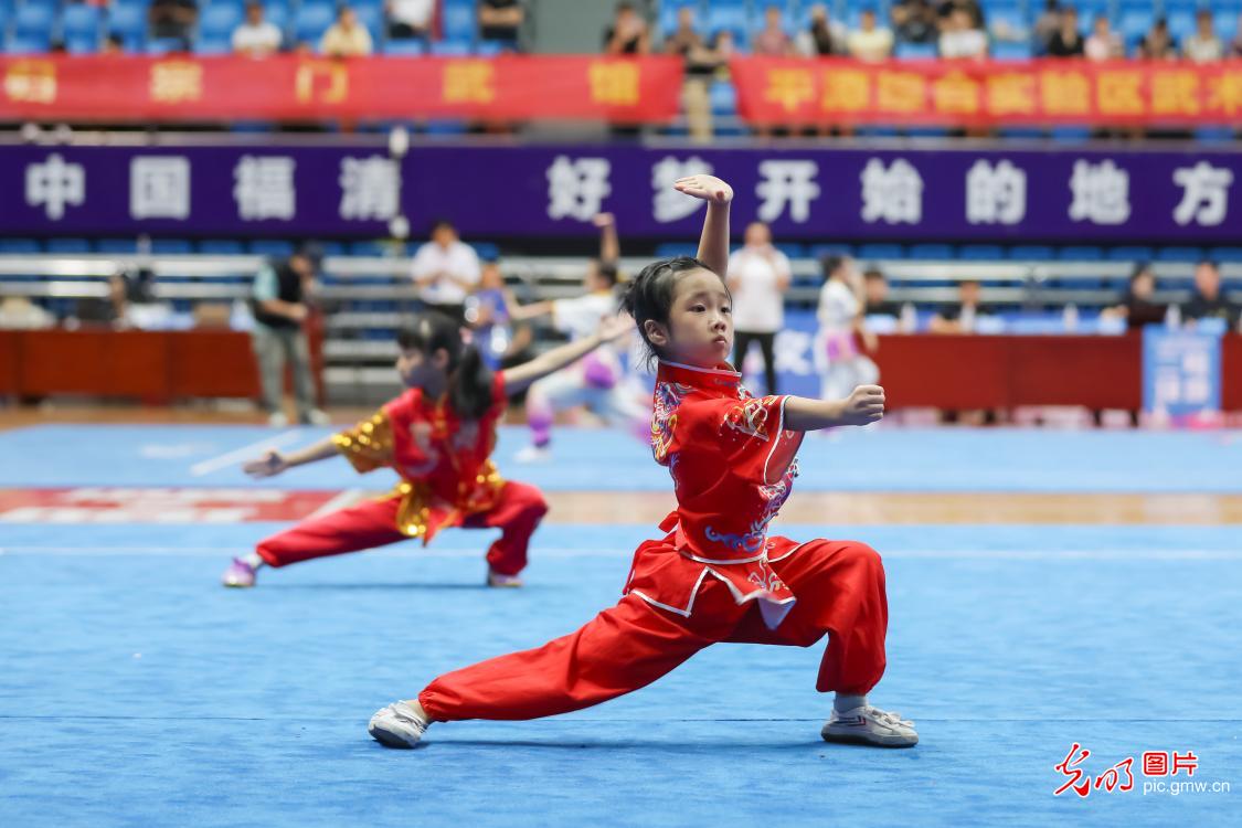 八闽武术大赛话传承